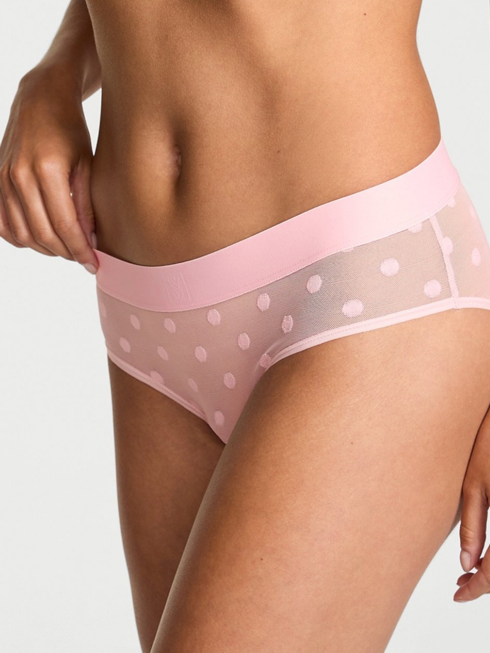 NWT Victoria’s Secret NWT Victoria’s Secret Sheer Heritage Logo Hiphugger Panty.